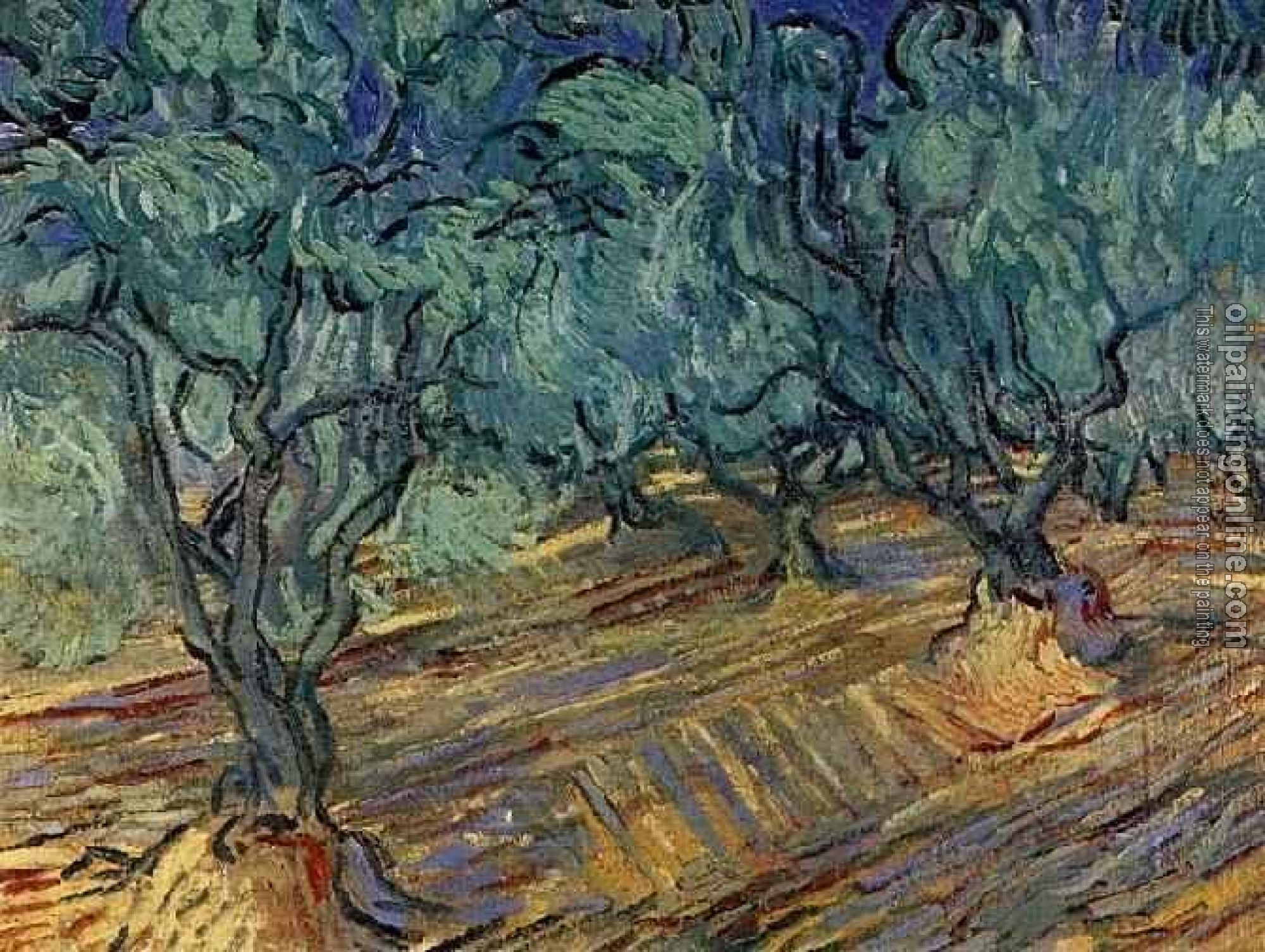 Gogh, Vincent van - Olive Grove, Bright Blue Sky